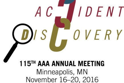 Postmortem and Possibilities: Reflections on AAA 2016